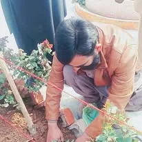 Green Seekers Activity